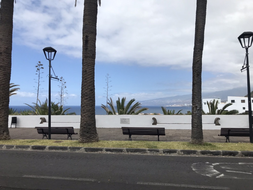 Wandern auf Teneriffa Vom Barranco Ruiz nach San Juan de la Rambla 33