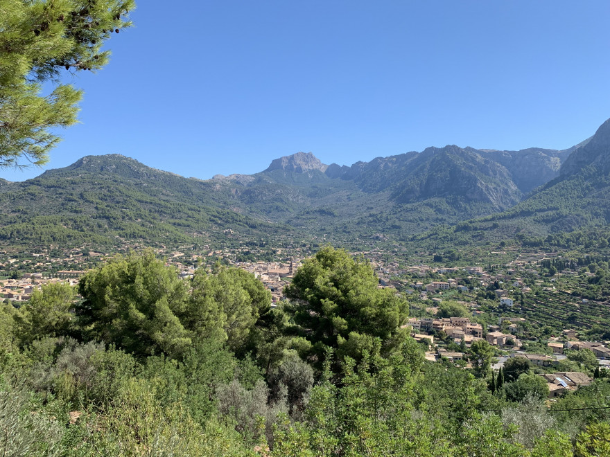 Mit der Holzeisenbahn nach Soller 6