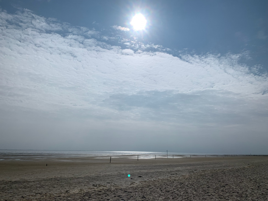 Fietsetour zu Seehundbaenken 1