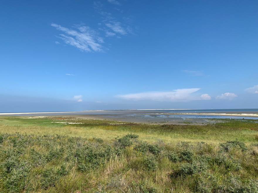 Fietsetour zu Seehundbaenken 2