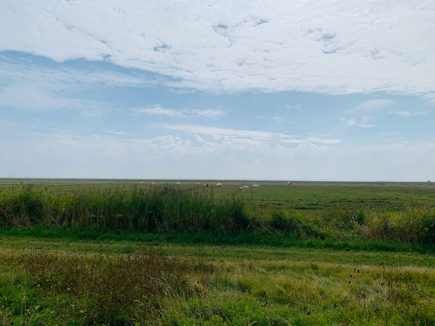 Fietsetour zu Seehundbaenken 4