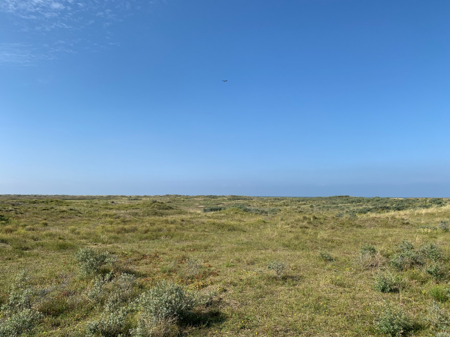 Fietsetour zu Seehundbaenken 7