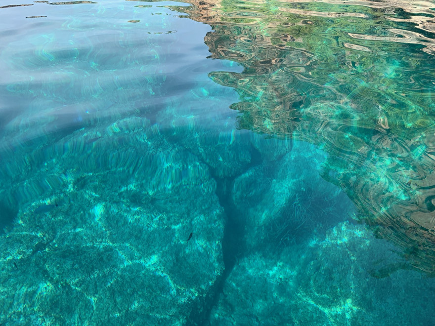 Bootstour von Port de Soller nach Port de Valldemossa 25