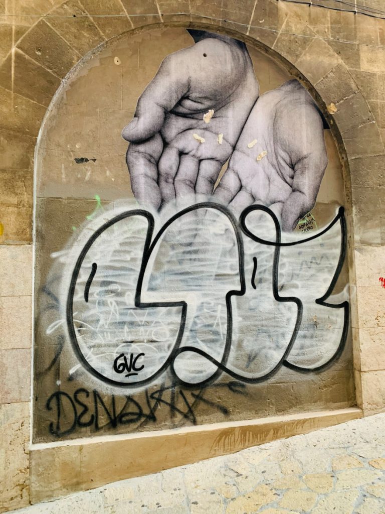 Street Art in Palma 14