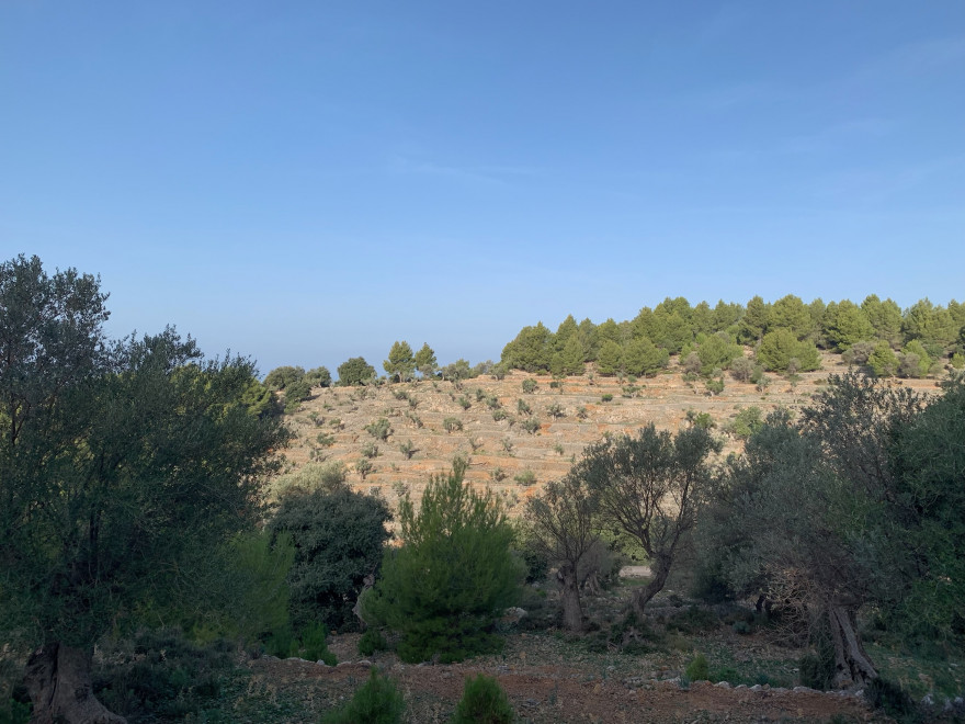 Wanden auf Mallorca Durch das Tal Balitx 1