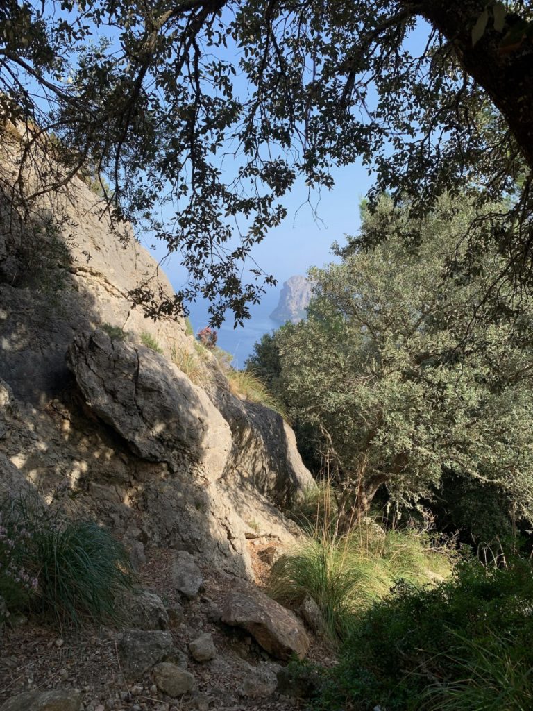 Wanden auf Mallorca Durch das Tal Balitx 11