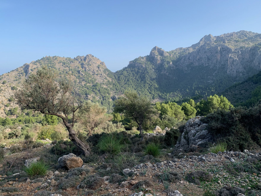 Wanden auf Mallorca Durch das Tal Balitx 5