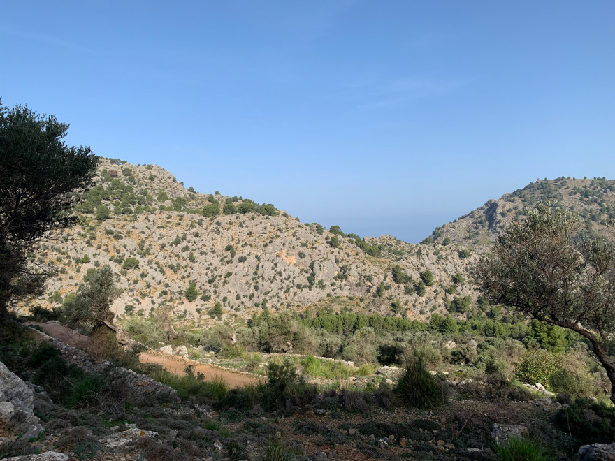Wanden auf Mallorca Durch das Tal Balitx 6
