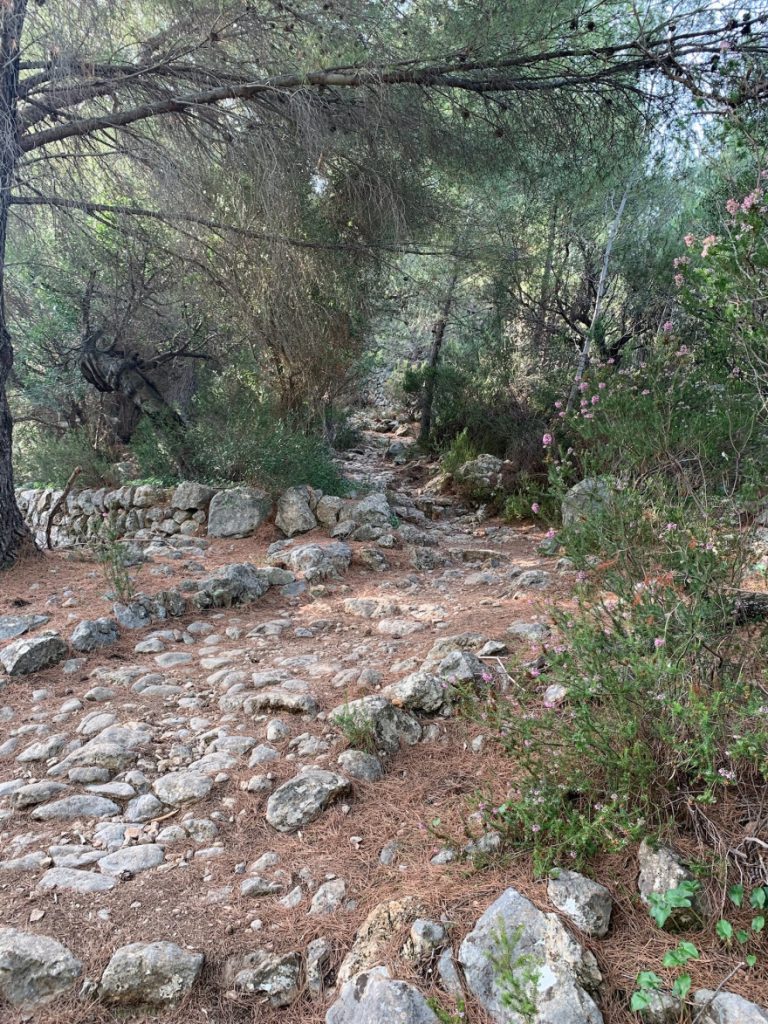 Wanden auf Mallorca Durch das Tal Balitx 8