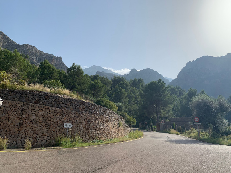 Wanden auf Mallorca Endspurt durch Pampasgras nach Sa Calobra 1