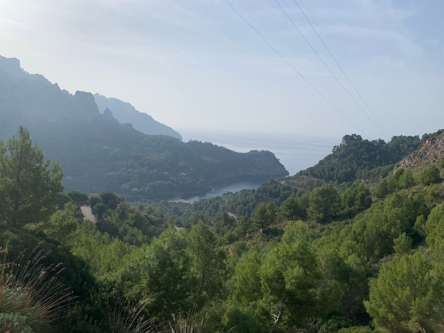 Wanden auf Mallorca Endspurt durch Pampasgras nach Sa Calobra 3