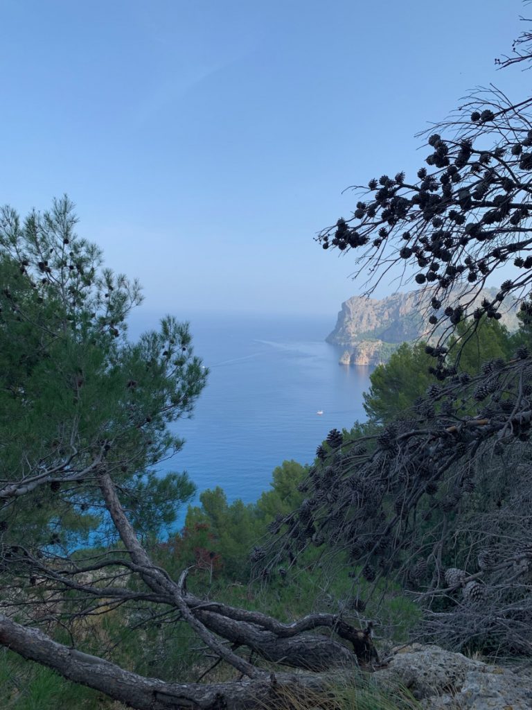 Wanden auf Mallorca Kuestenweg nach Cala Tuent 1