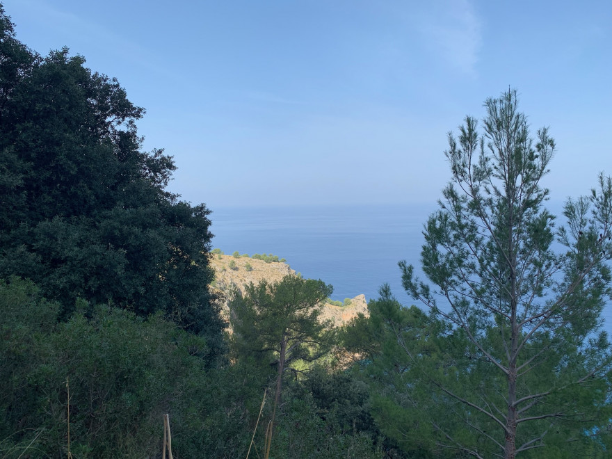 Wanden auf Mallorca Kuestenweg nach Cala Tuent 3