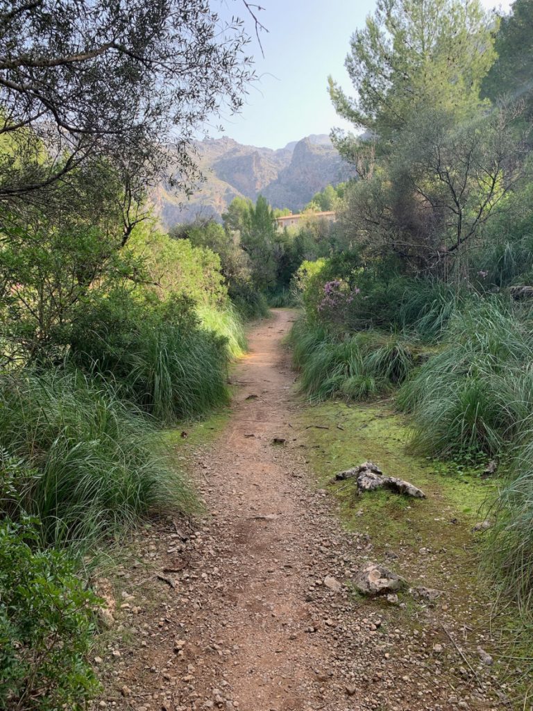 Wanden auf Mallorca Kuestenweg nach Cala Tuent 9