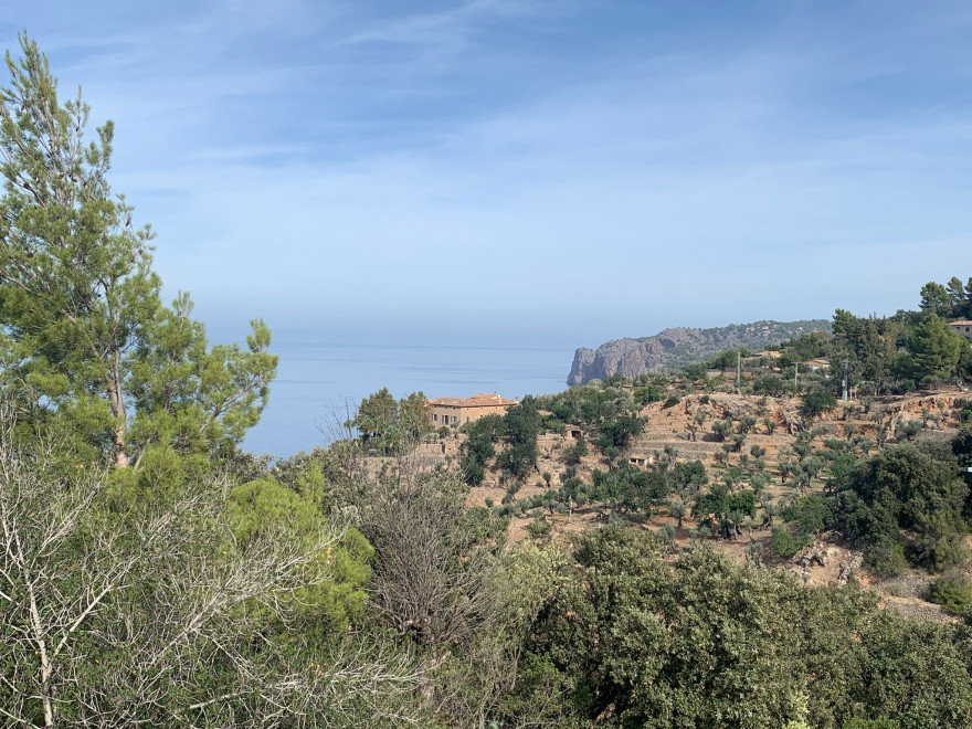 Wandern auf Mallorca von Deia nach Soller 13