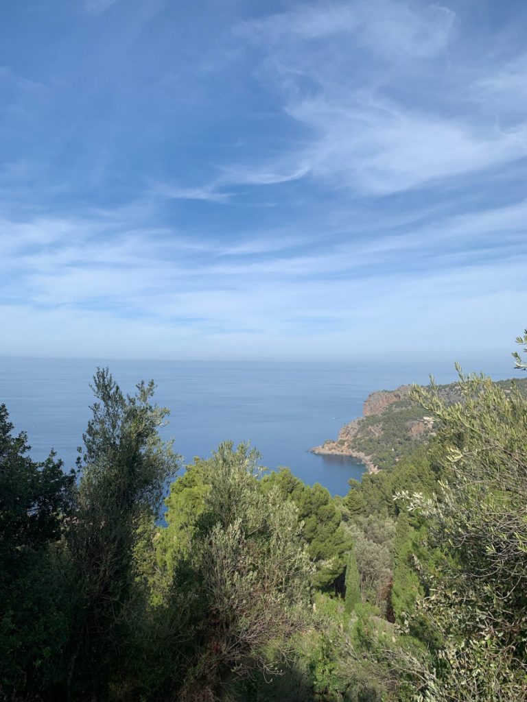 Wandern auf Mallorca von Deia nach Soller 16