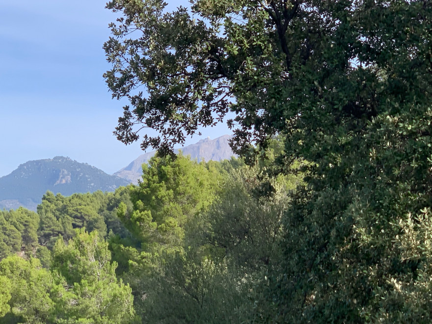 Wandern auf Mallorca von Deia nach Soller 18