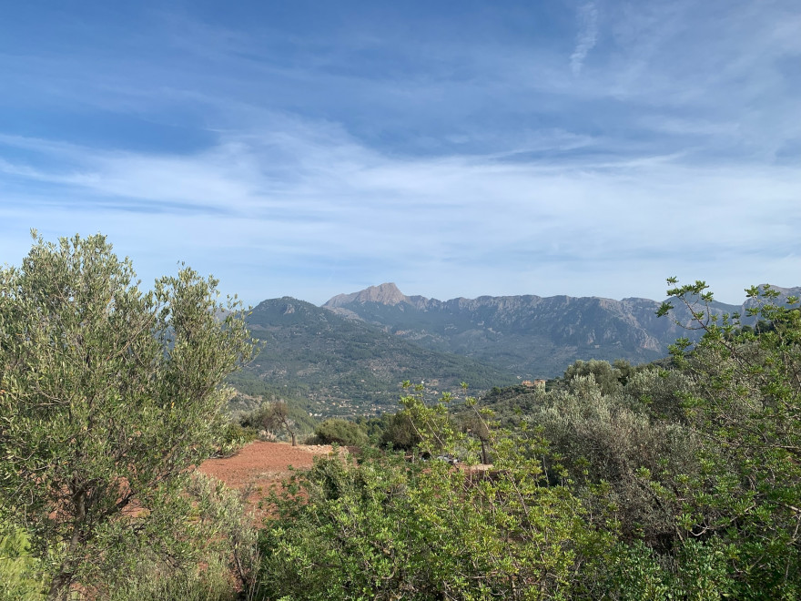 Wandern auf Mallorca von Deia nach Soller 19