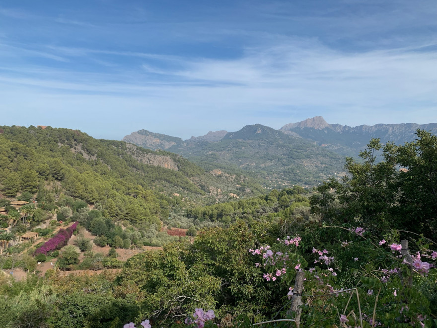 Wandern auf Mallorca von Deia nach Soller 22