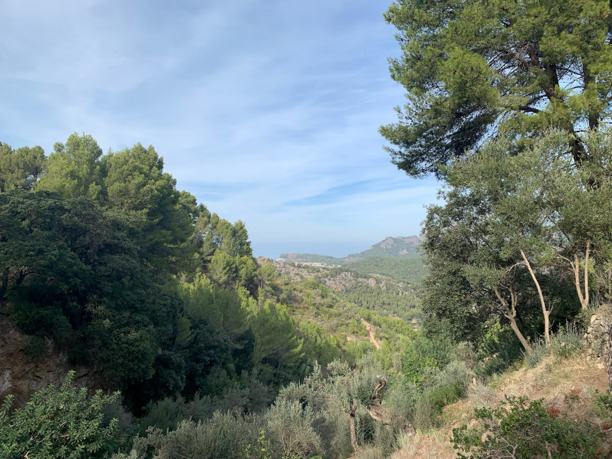 Wandern auf Mallorca von Deia nach Soller 25