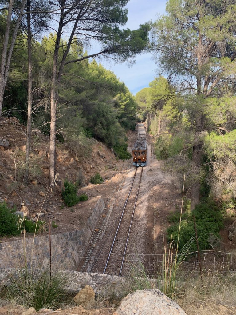 Wandern auf Mallorca von Deia nach Soller 27