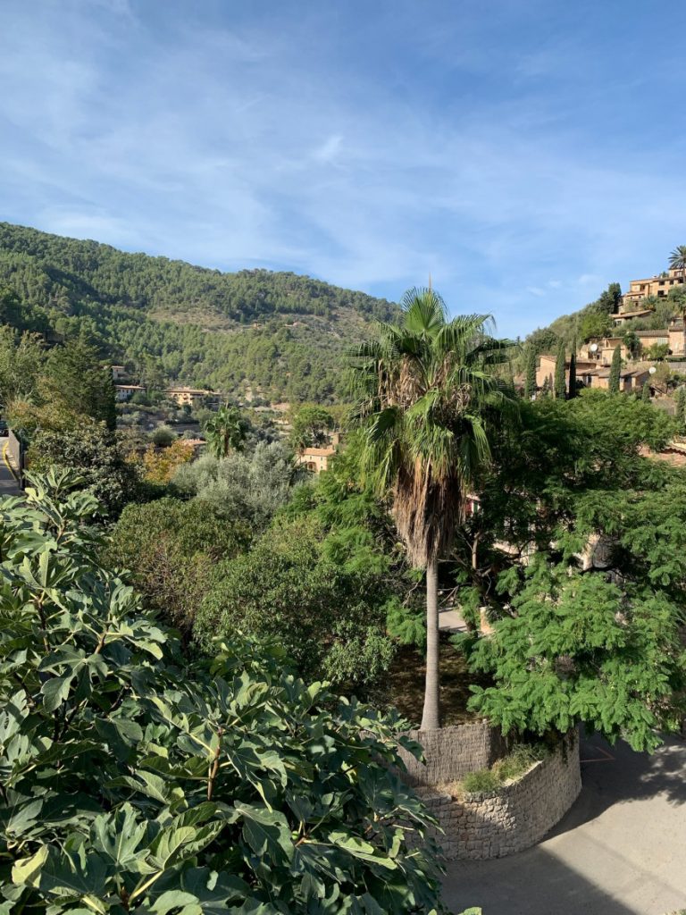 Wandern auf Mallorca von Deia nach Soller 4