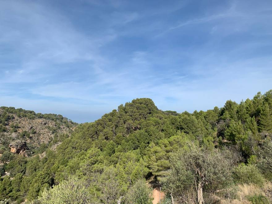 Wandern auf Mallorca von Deia nach Soller 7
