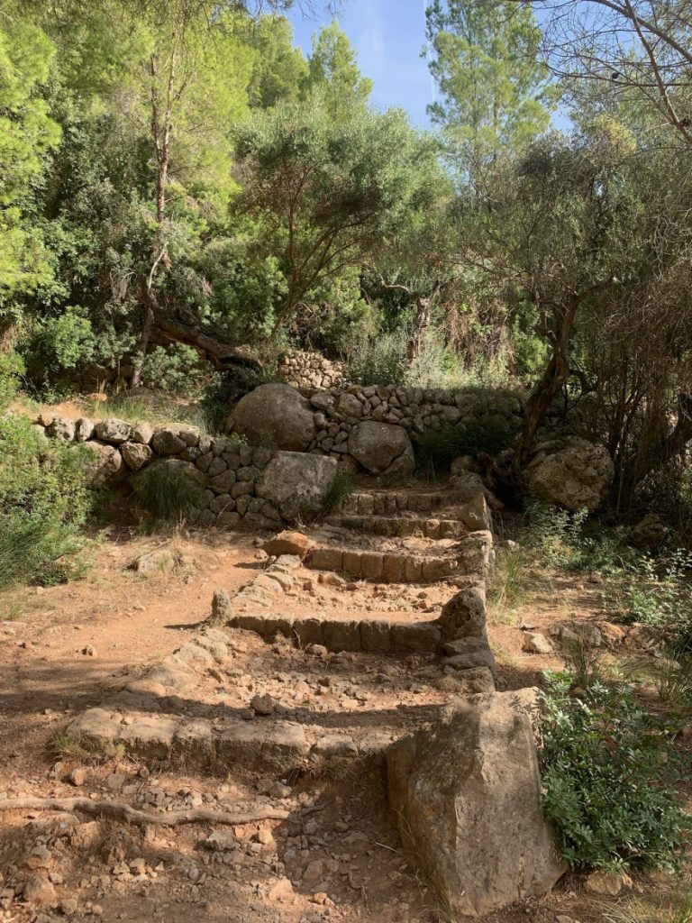 Wandern auf Mallorca von Deia nach Soller 8