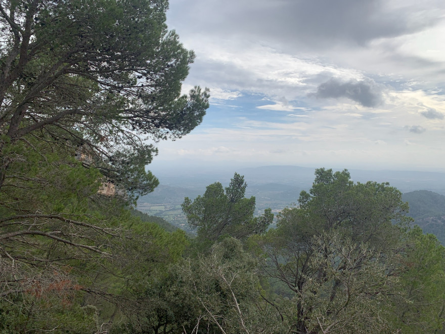 Wanden auf Mallorca Castell Alaro Aussicht vom Castell Alaro1