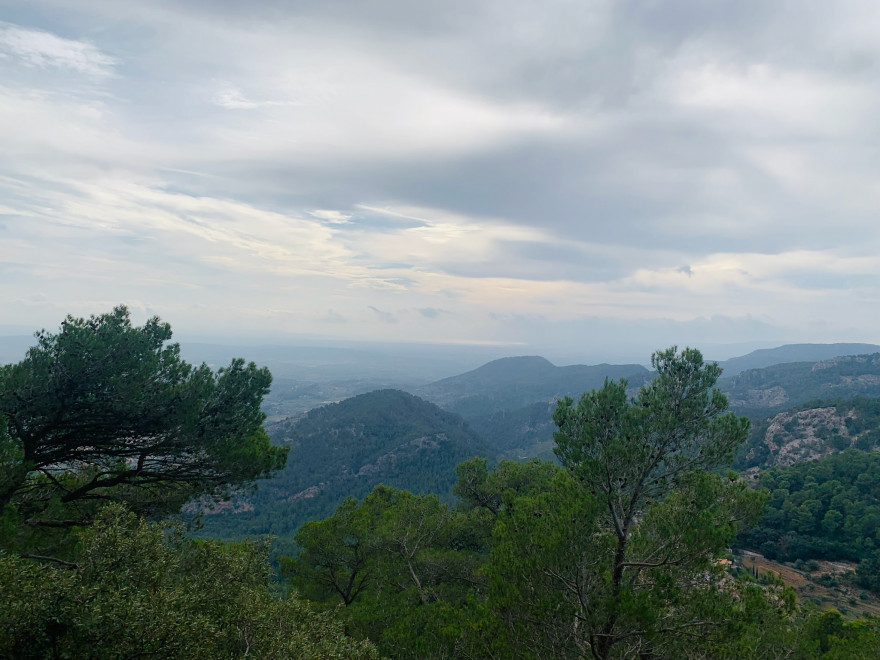 Wanden auf Mallorca Castell Alaro Aussicht vom Castell Alaro2