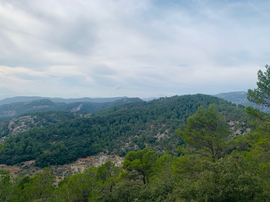 Wanden auf Mallorca Castell Alaro Aussicht vom Castell Alaro3