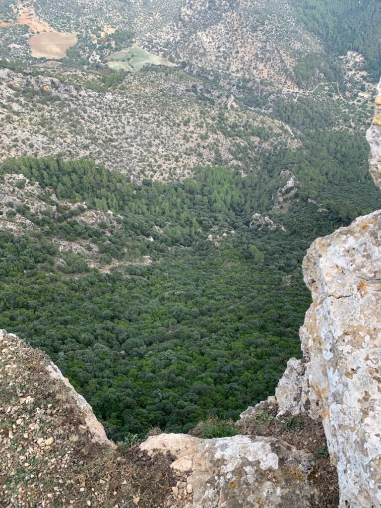 Wanden auf Mallorca Castell Alaro Aussicht vom Castell Alaro5