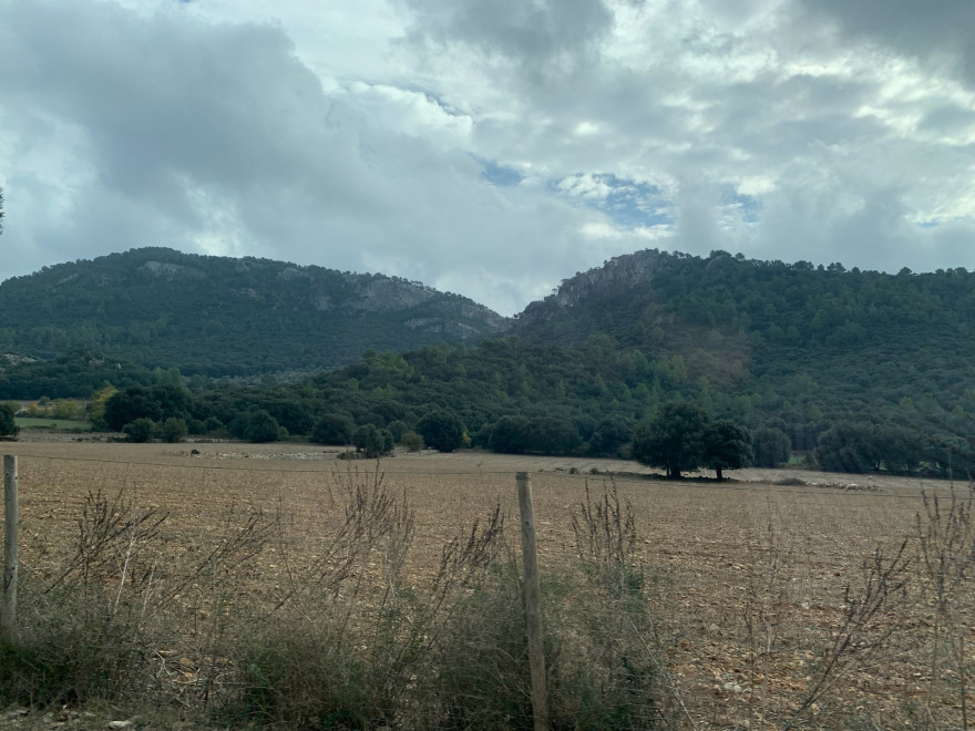 Wanden auf Mallorca Castell Alaro Autofahrt Durch Bunyola nach Orient 3