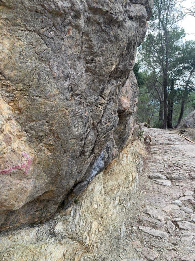 Wanden auf Mallorca Castell Alaro Durch Steineichenwald aufwärts 8