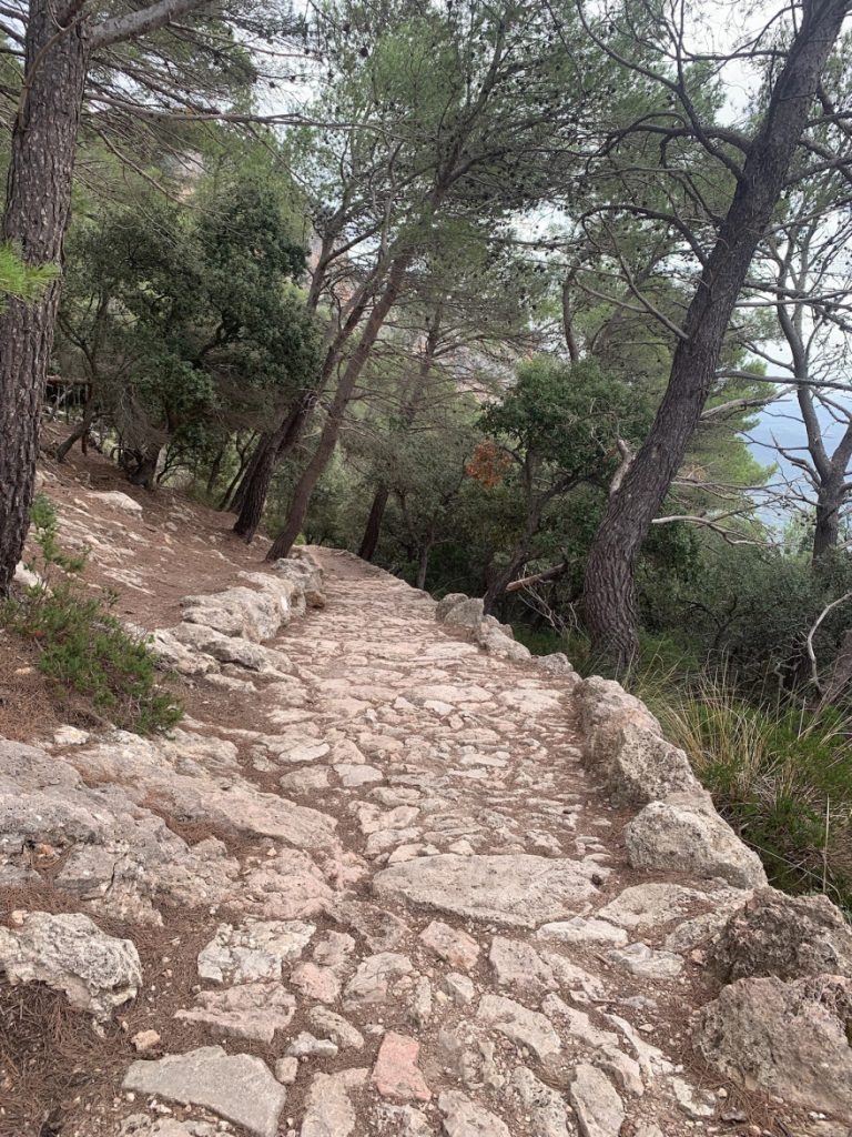 Wanden auf Mallorca Castell Alaro Durch Steineichenwald aufwärts 9