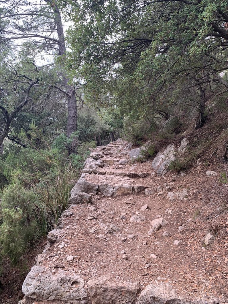 Wanden auf Mallorca Castell Alaro Mit Aussicht über Es Verger Richtung Startpunkt 1