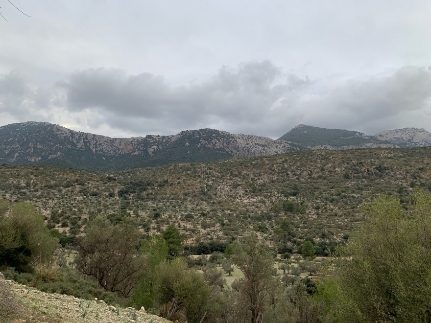 Wanden auf Mallorca Castell Alaro Mit Aussicht über Es Verger Richtung Startpunkt 10