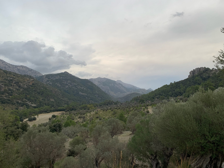 Wanden auf Mallorca Castell Alaro Mit Aussicht über Es Verger Richtung Startpunkt 11