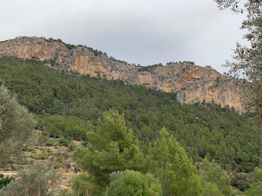 Wanden auf Mallorca Castell Alaro Mit Aussicht über Es Verger Richtung Startpunkt 5
