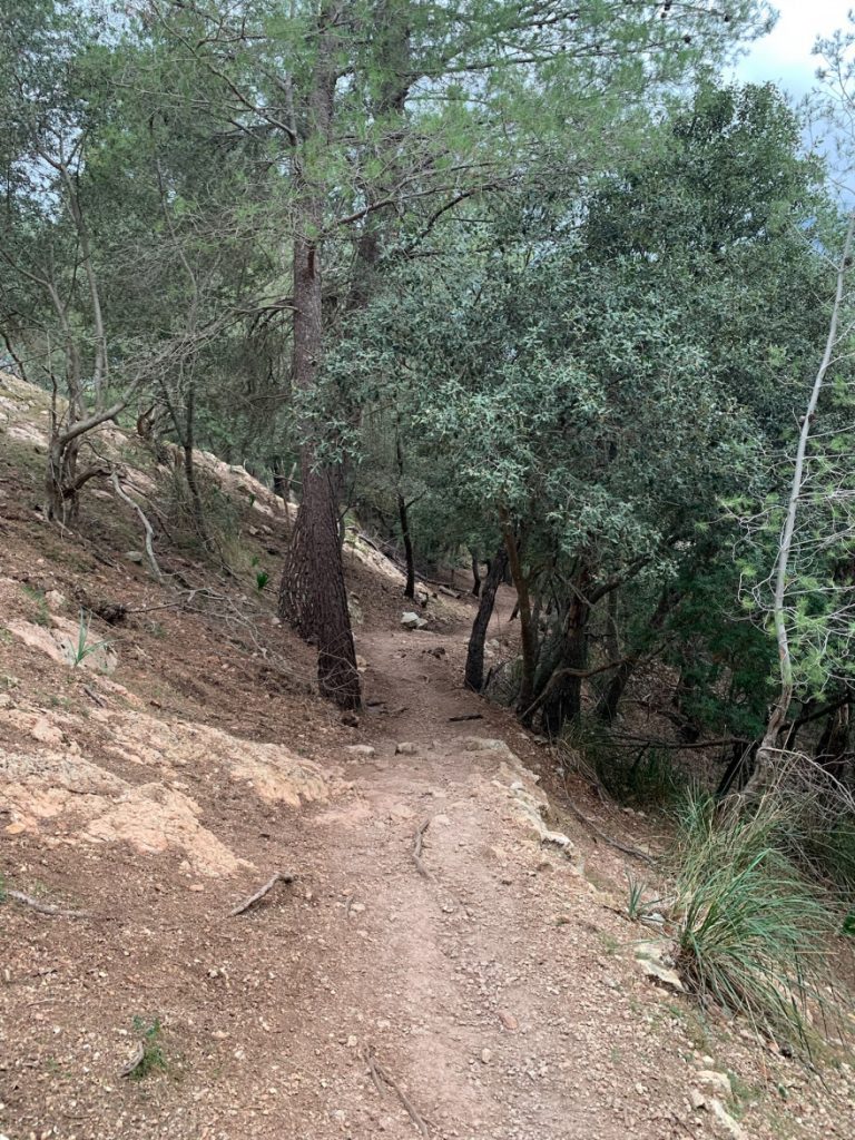 Wanden auf Mallorca Castell Alaro Mit Aussicht über Es Verger Richtung Startpunkt 8