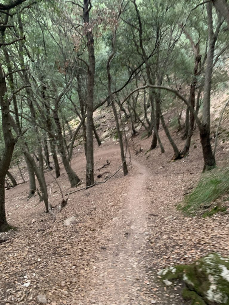 Wanden auf Mallorca Castell Alaro Mit Aussicht über Es Verger Richtung Startpunkt 9