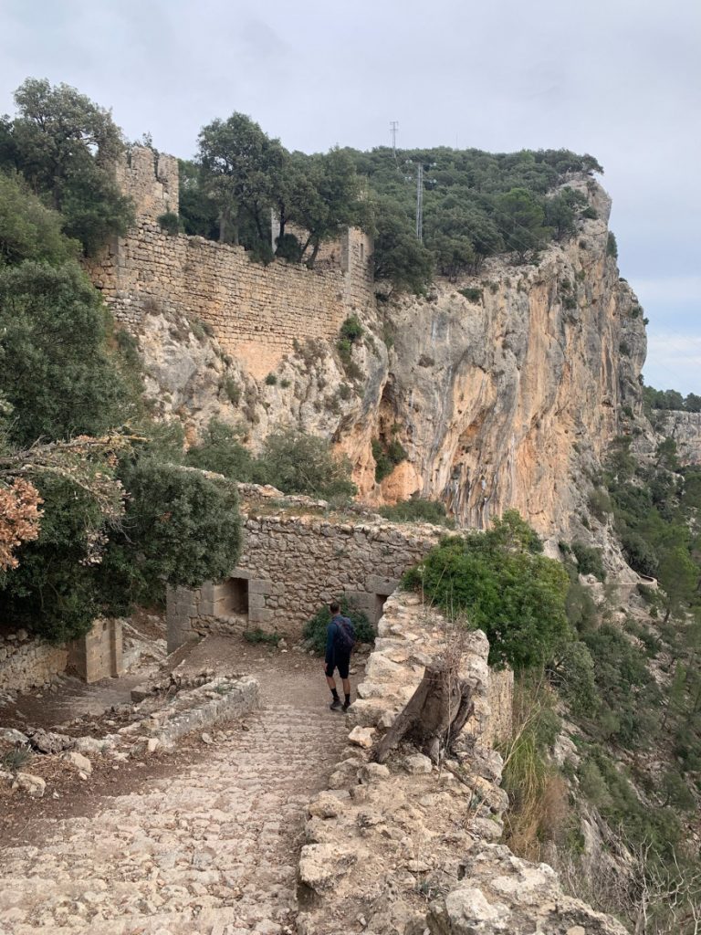 Wanden auf Mallorca Castell Alaro Rund um das Plateau 3