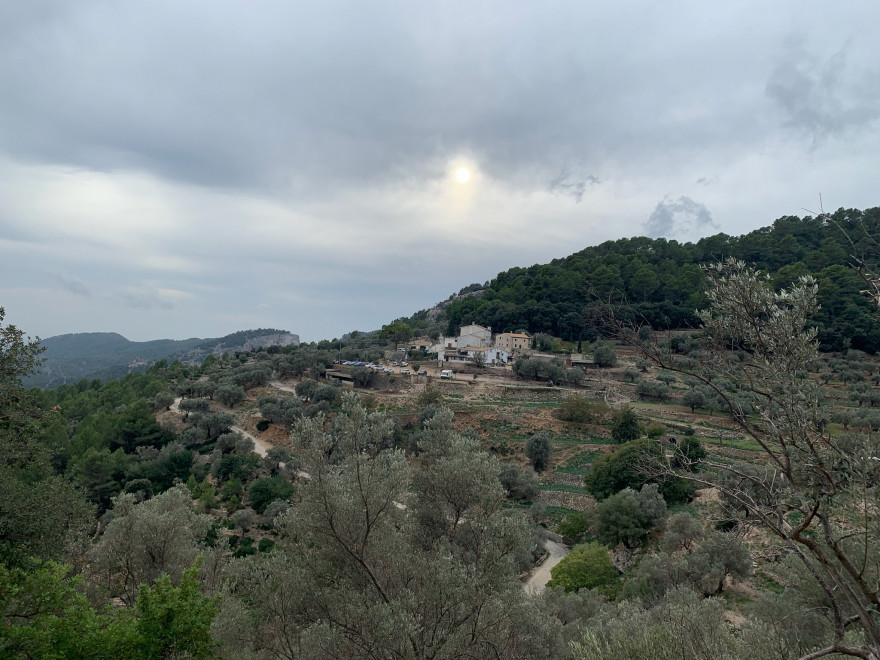 Wanden auf Mallorca Castell Alaro Rund um das Plateau 4