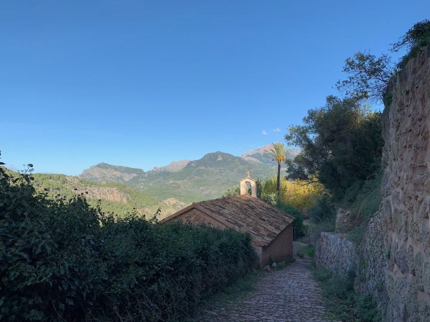 Wanden auf Mallorca Von Deia nach Soller 31