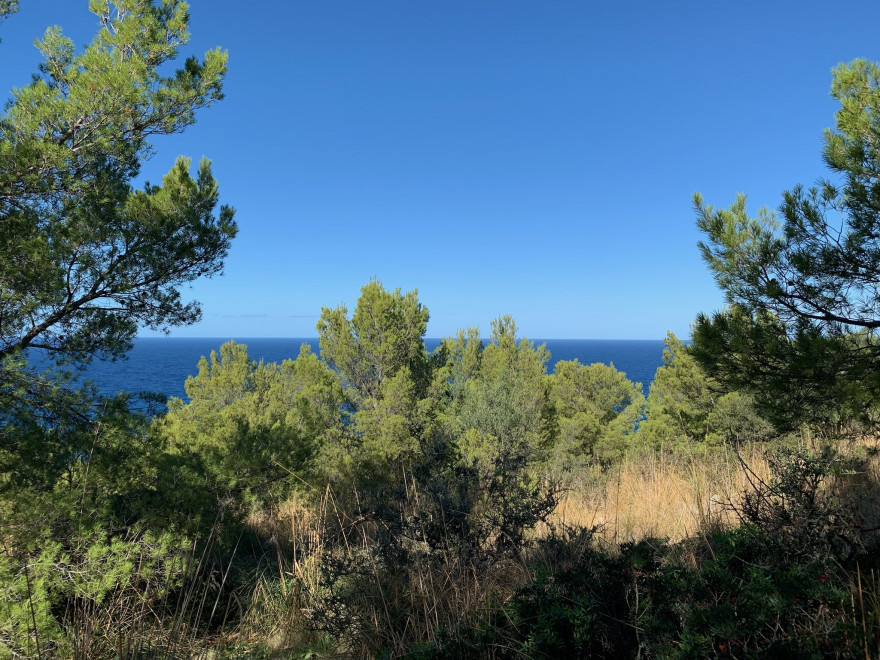 Wandern auf Mallorca Runde von Port de Soller Cap Gros und Refugi Muleta 20