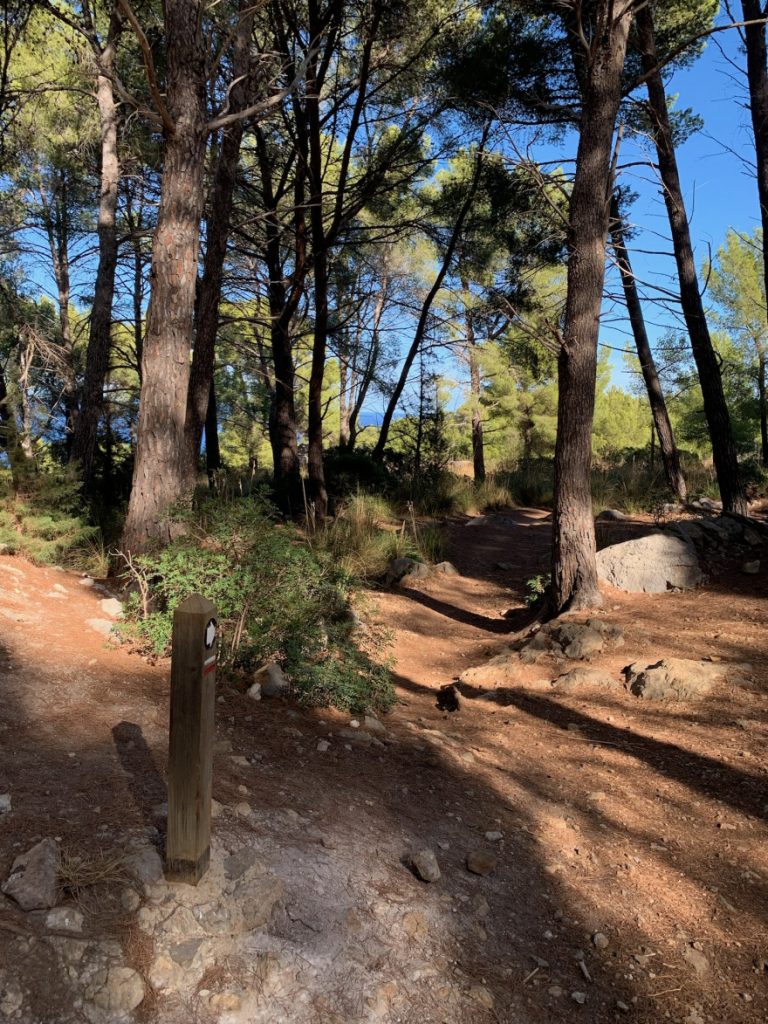 Wandern auf Mallorca Runde von Port de Soller Cap Gros und Refugi Muleta 21