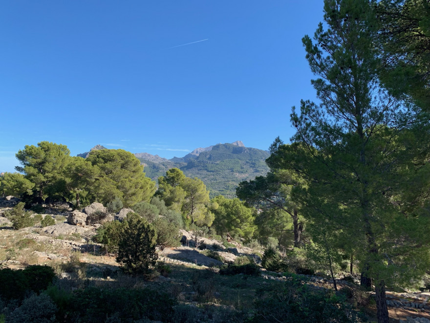 Wandern auf Mallorca Runde von Port de Soller Cap Gros und Refugi Muleta 22