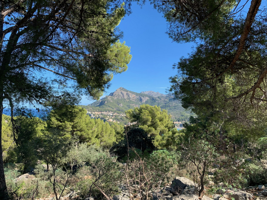 Wandern auf Mallorca Runde von Port de Soller Cap Gros und Refugi Muleta 24