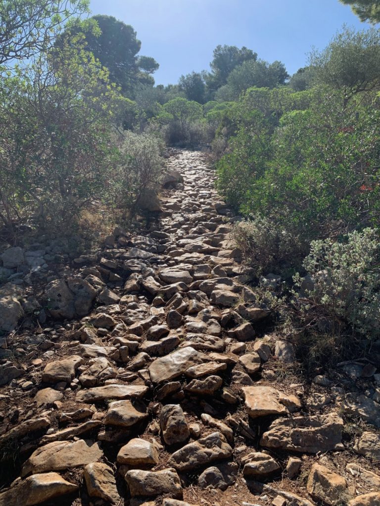 Wandern auf Mallorca Runde von Port de Soller Cap Gros und Refugi Muleta 25