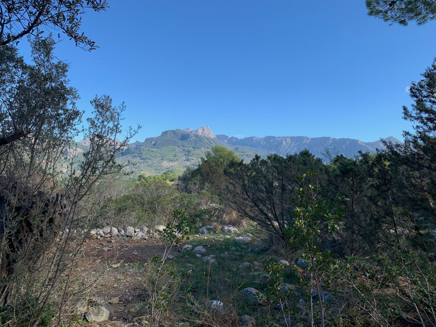 Wandern auf Mallorca Runde von Port de Soller Cap Gros und Refugi Muleta 29